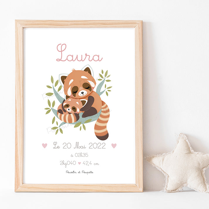 AFFICHE - NAISSANCE PANDA ROUX